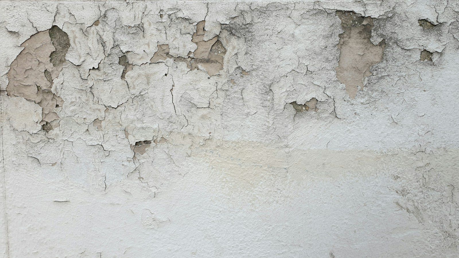 Paint peeling off a damp wall